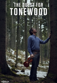 The Quest for Tonewood 2020