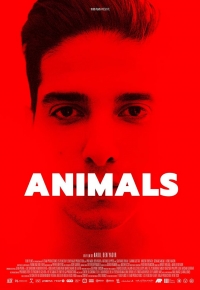 Animals 2023